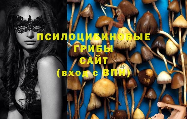 мет Алексин