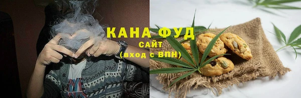 мет Алексин
