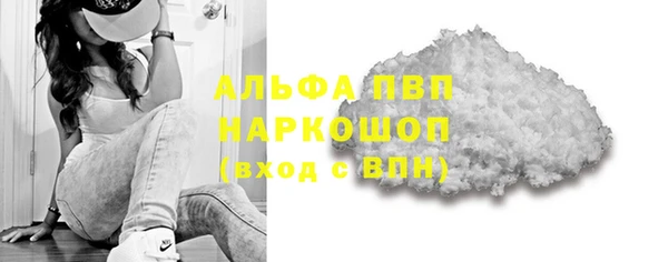 мет Алексин