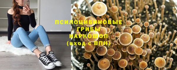 соль ск Протвино