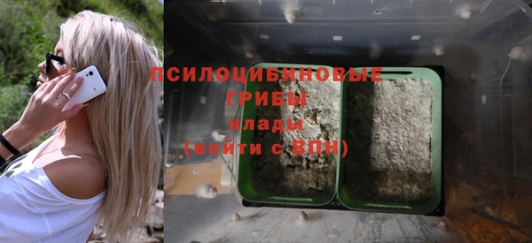 мет Алексин
